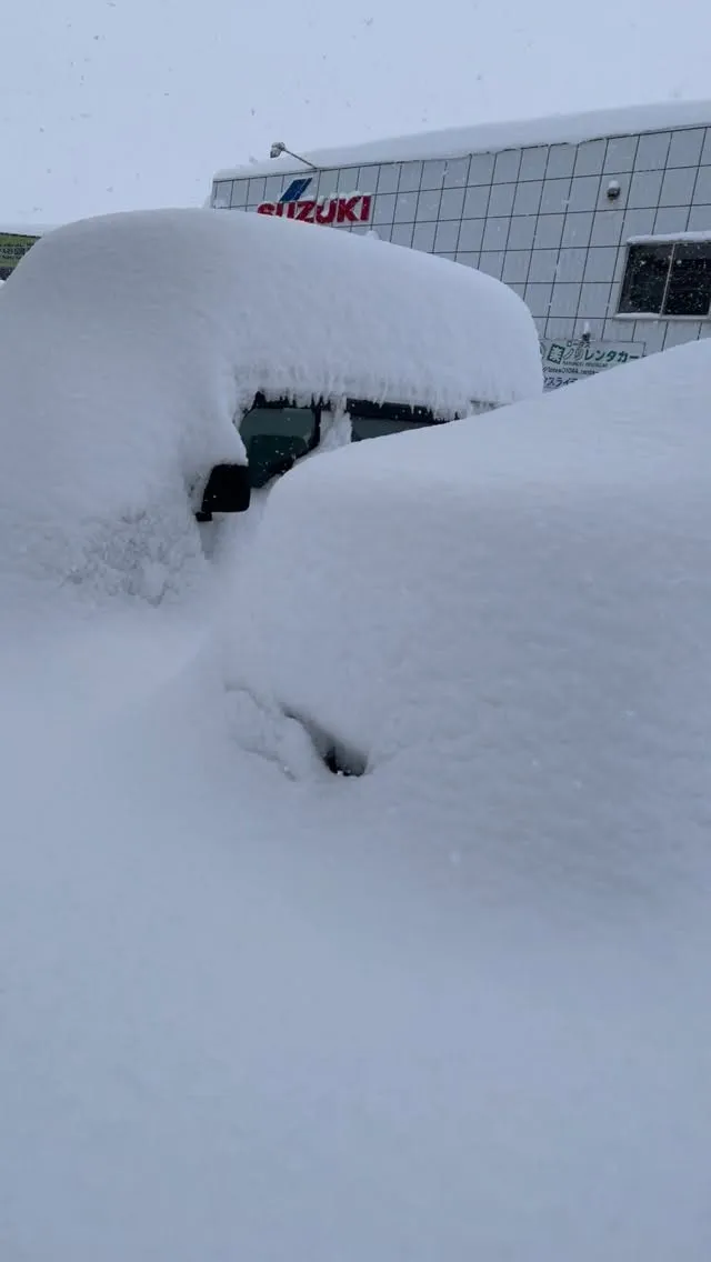 おはようございます。